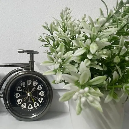 Comfy Close To Park Apartment *