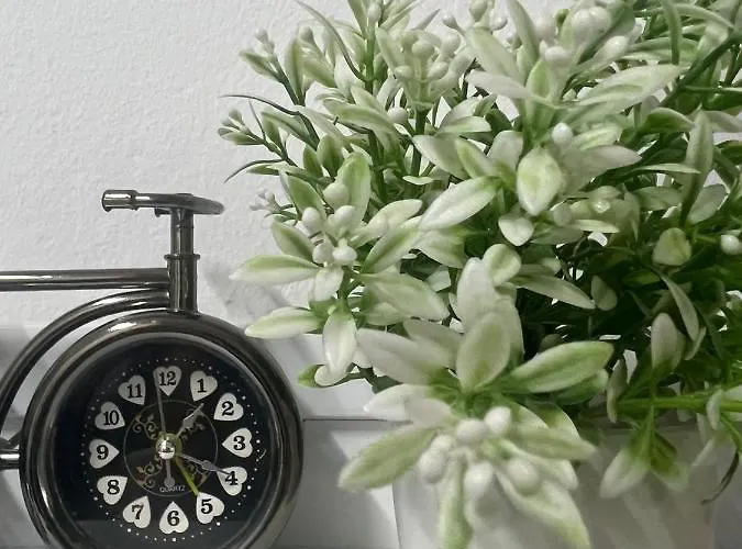 Comfy Close To Park Daire *